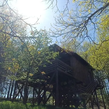 Appartement Kis Tuzlepke Lombhaz
