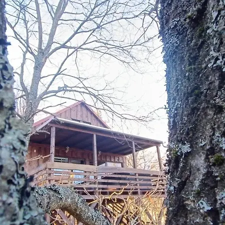 Kis Tuzlepke Lombhaz Appartement *