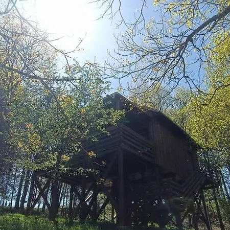 Kis Tuzlepke Lombhaz Orfalu