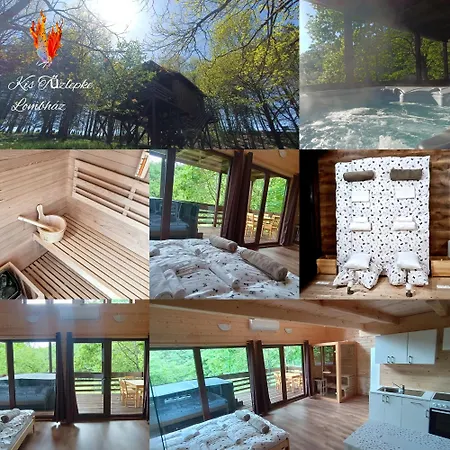 Kis Tuzlepke Lombhaz Apartment