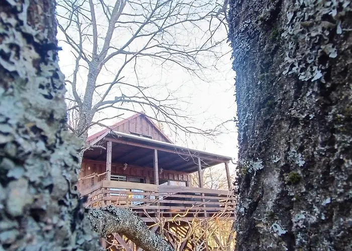 Kis Tuzlepke Lombhaz Apartament *